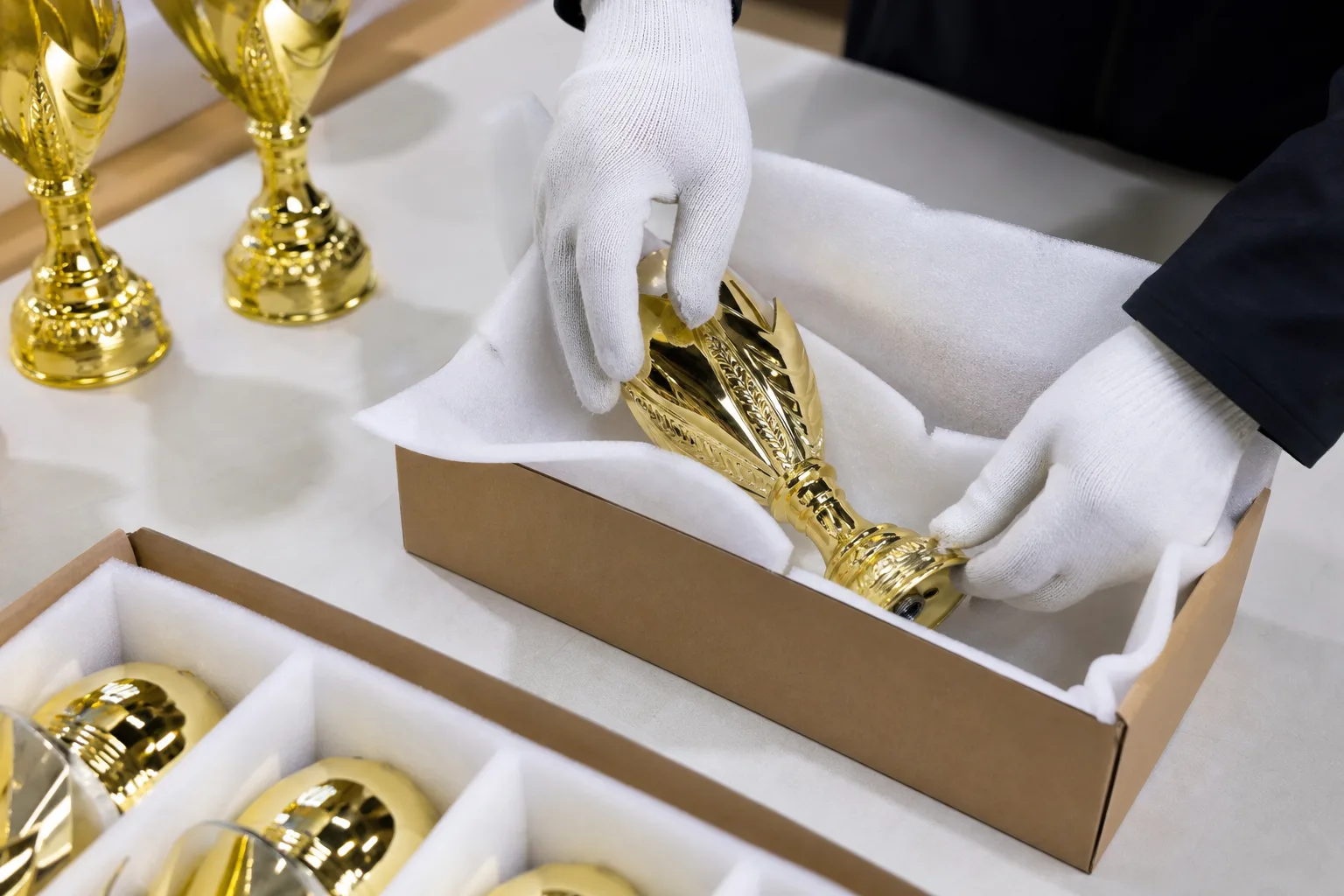 Planning for Different Trophy Projects
