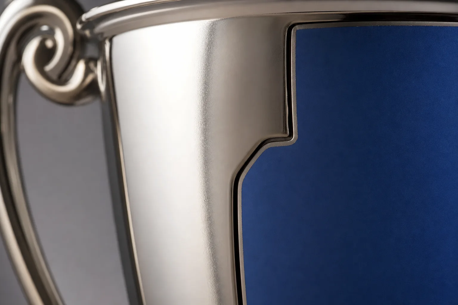 Close view of metallic plating and painted trophy details